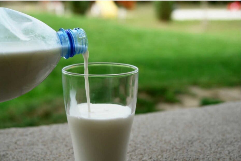 Intolerância à lactose destacada