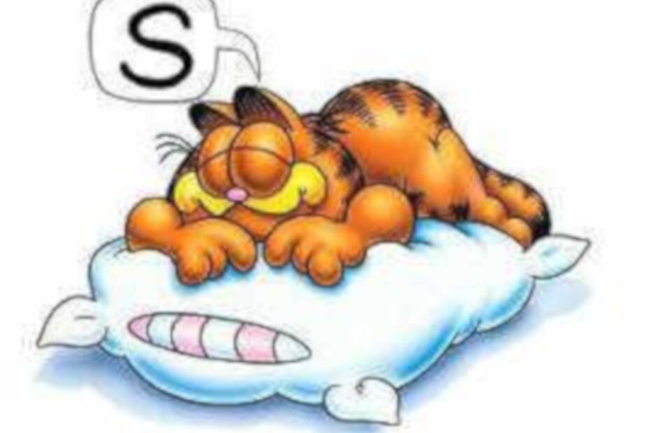Dormir bem – a importância e benefícios - destacada