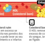 ldl colestorol ruim hdl colesterol bom - destacada