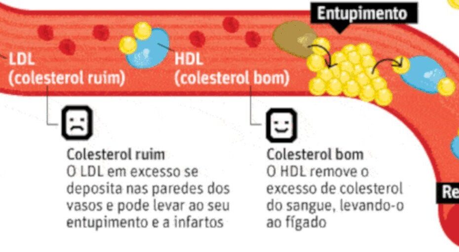 ldl colestorol ruim hdl colesterol bom - destacada