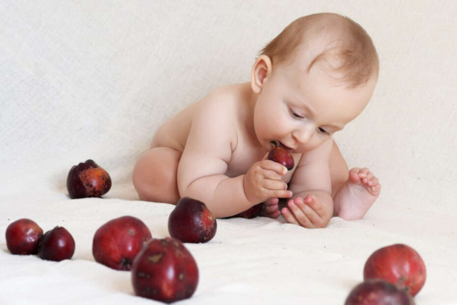Alimentação infantil - destacada