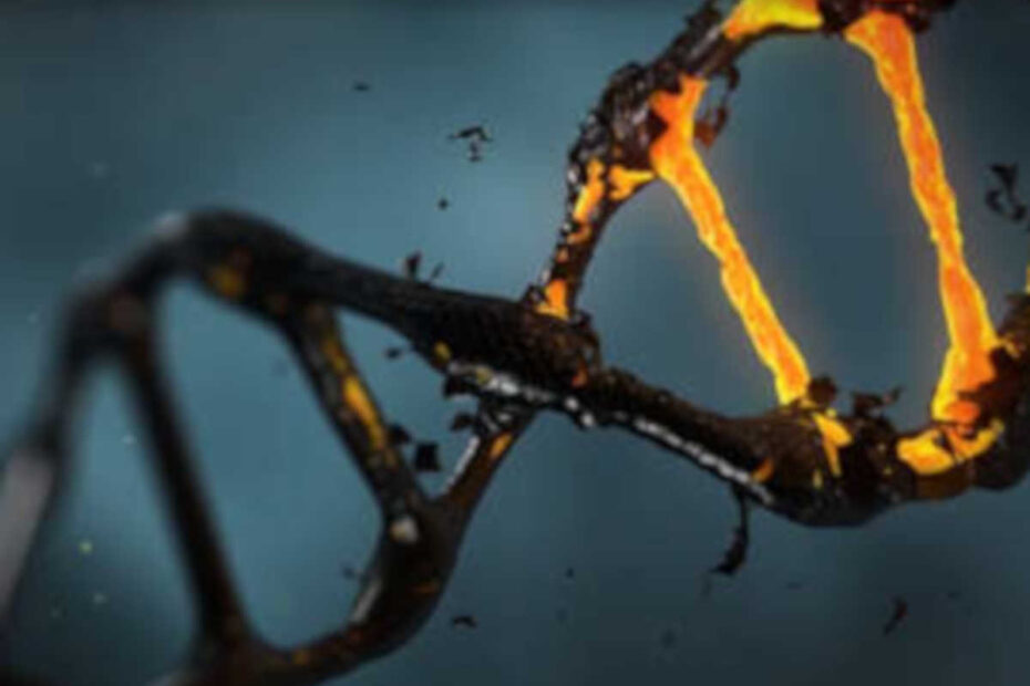 DNA, um perfeito e fantástico arquivo digital. - destacada