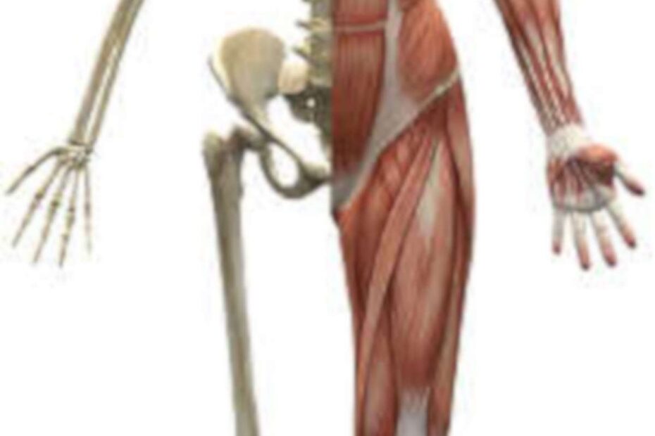 Fibromialgia - doença dolorosa - destacada