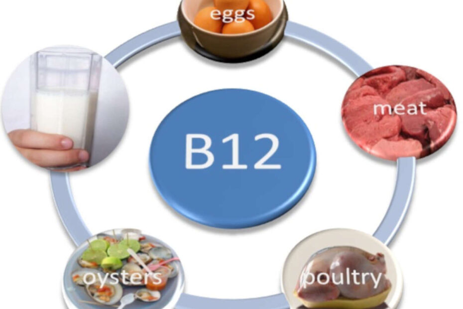 A importância da vitamina B12 - destacada