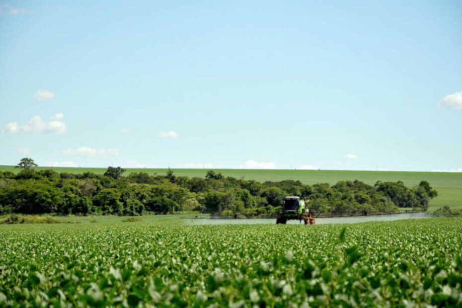 Agrotóxicos na água podem causar alergias - destacada