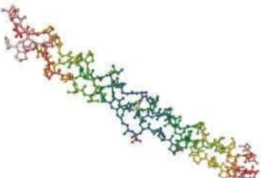 Articulações – bons alimentos - destacada