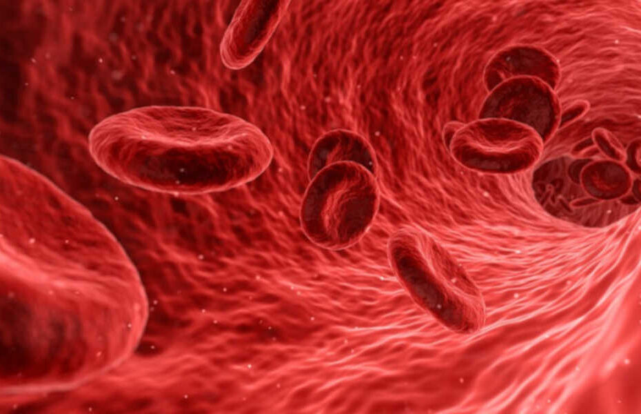 Sangue, nosso rio de vida! - destacada