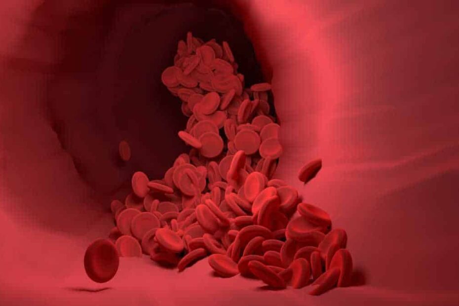 Sangue nas fezes e agora o que fazer?